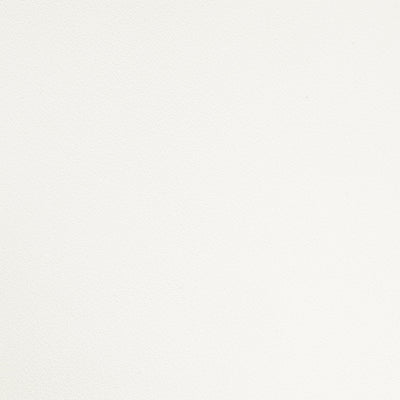 Microfiber Leather - Trento Eggshell