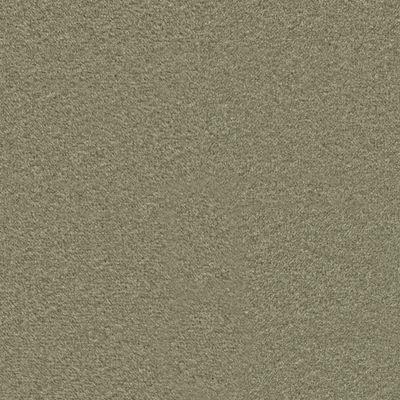 Maria Signature Plush Velvet - Olive Green