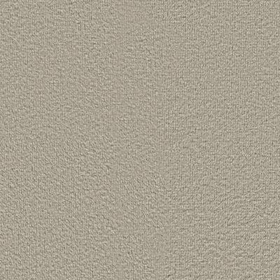 Maria Signature Plush Velvet - Warm Taupe